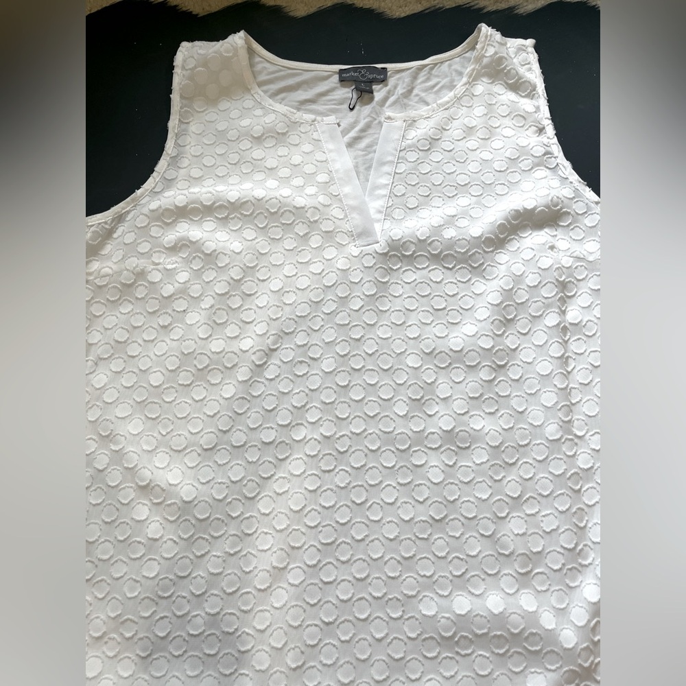 Sleeveless sheer(fully lined) dressy top